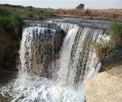 Oase Fayoum - Bewässerungssystem (c) IMG