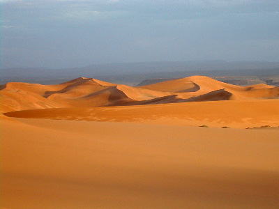 Die Wüste in Algier (c) Bertrand Devouard et Florence Devouard