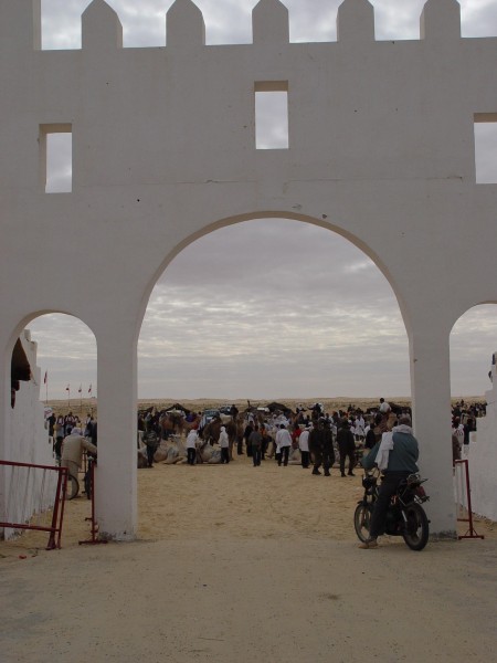Die Oasenstadt Douz - das Tor zur Sahara