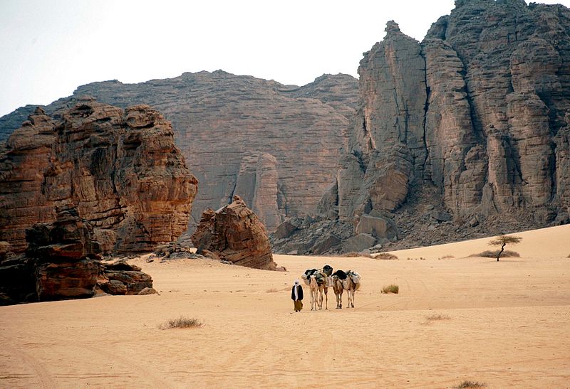 Tassili Wüste in Algerien (c) Magharebia