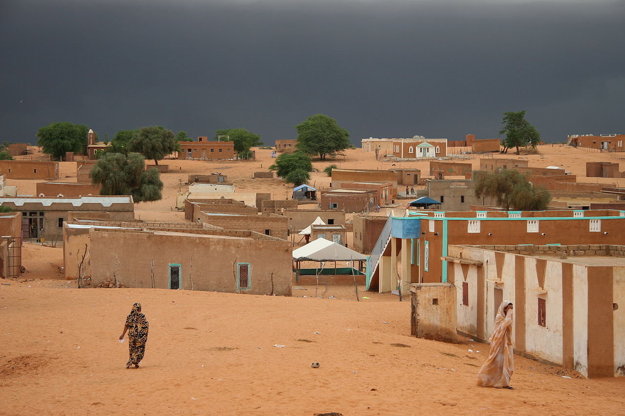 Barein in Mauretanien (c) Ferdinand Reus