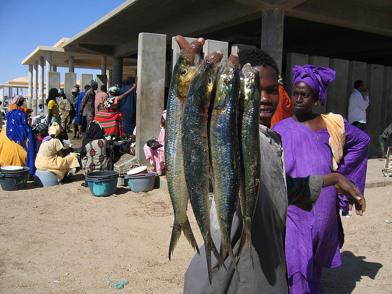 Fischmarkt am Strand von Nouakchott (c) Tom Hannen