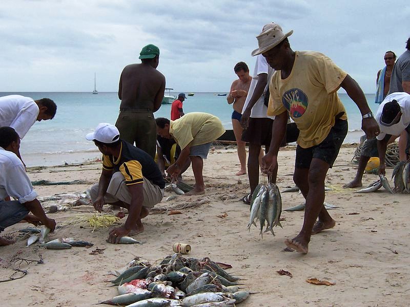Fischer auf den Seychellen (c) B.navez CC BY SA 3.0