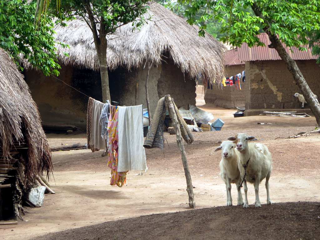 Togo Dorf