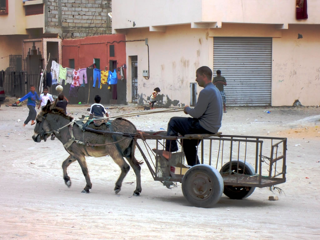 Mann auf Eselswagen in Dakhla (c) DavidStanley_Nanaimo CC BY SA 2.0