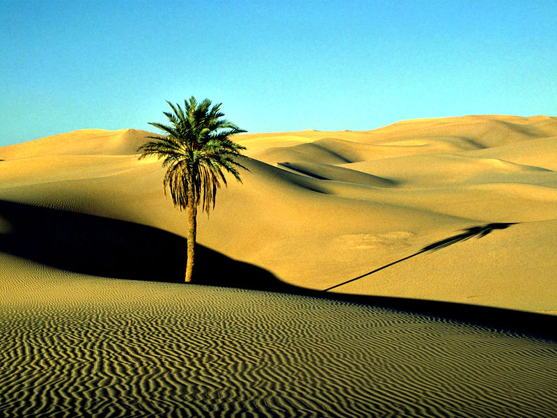Lybische Wüste westlich vom Nil (c) Victor Kroniyenko