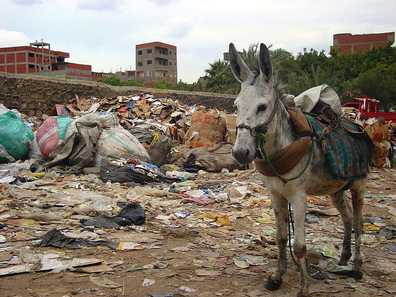Die Müllsammler von Kairo (c) Mathhias Feilhauer